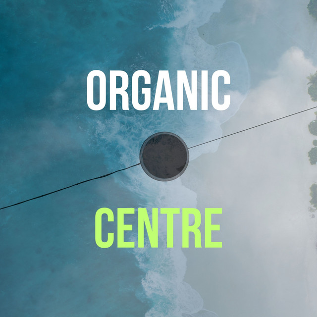 Organic Centre (DJ Mix) cover art