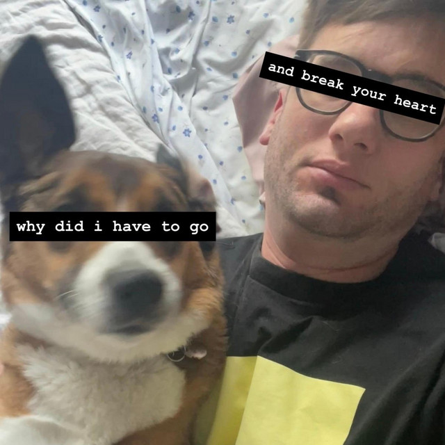why did i have to go and break your heart
