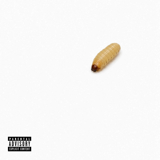 Bush Tucker