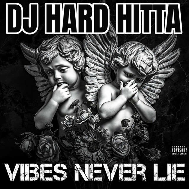 VIBES NEVER LIE cover art