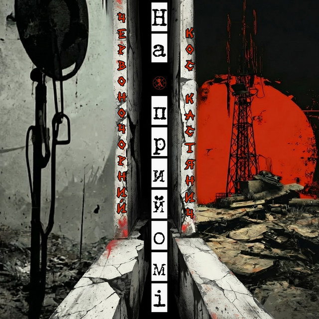 Cover art: На прийомі — Кос Кастянич