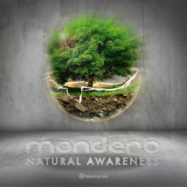 Natural Awareness cover