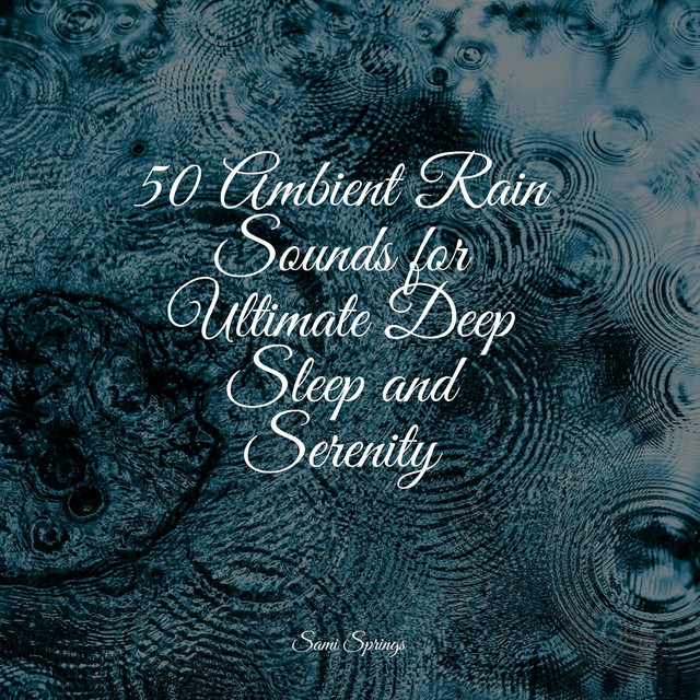 50 Ambient Rain Sounds for Ultimate Deep Sleep and Serenity - Album by ...