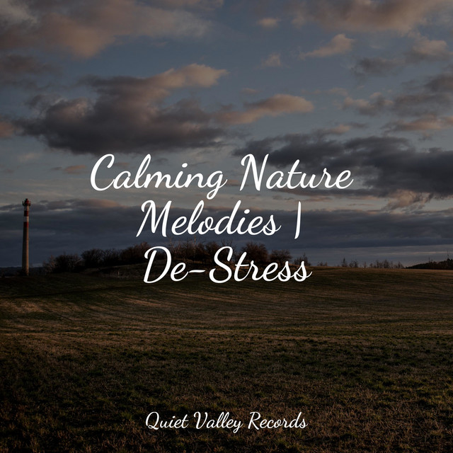 Calming Nature Melodies | De-Stress cover art