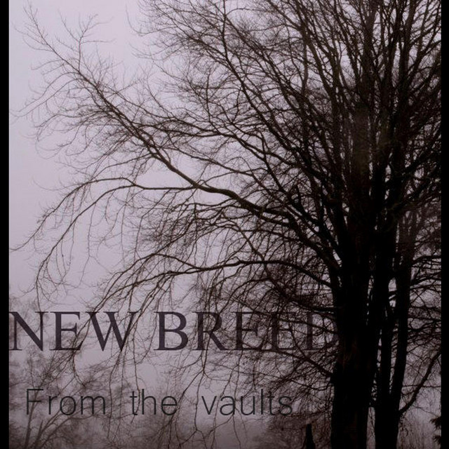 From the vaults cover art