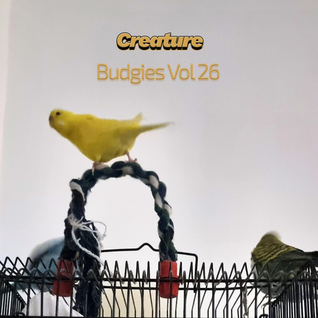 Budgies Vol 26 cover art