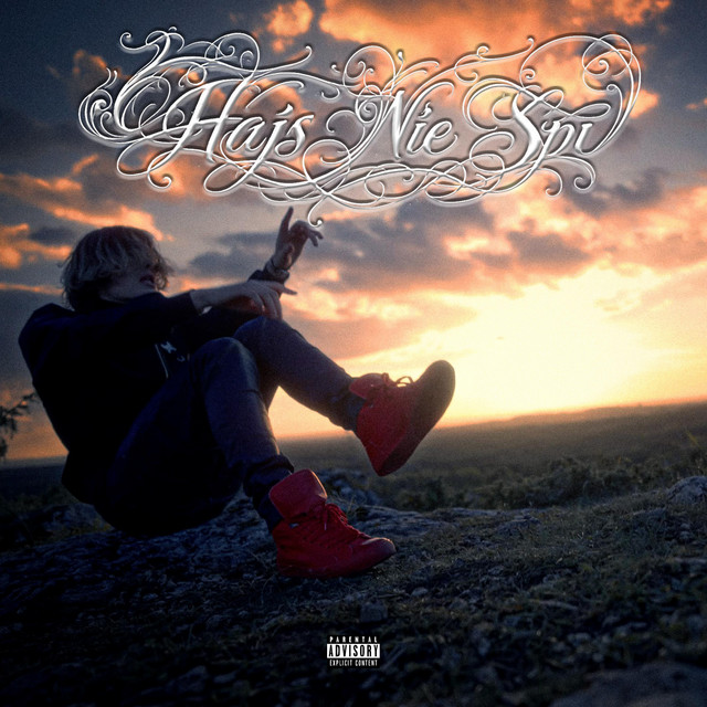 Hajs nie śpi cover art