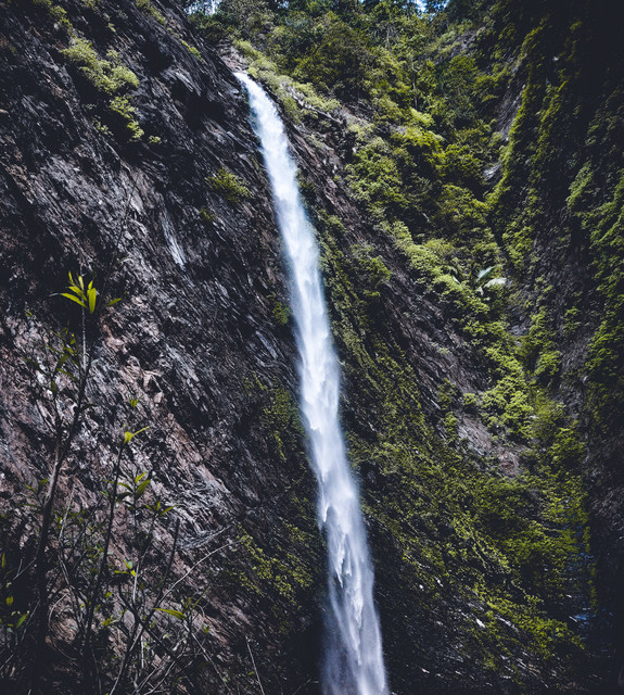 Soothing Sounds of Nature | Sleep and Relax Music cover art