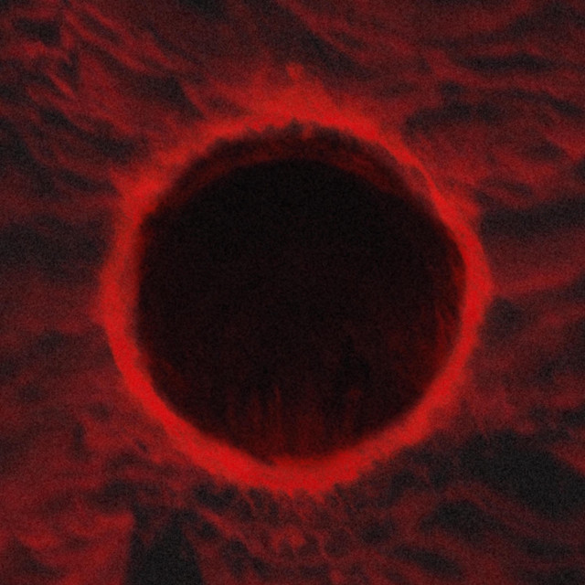 ECLIPSE cover art
