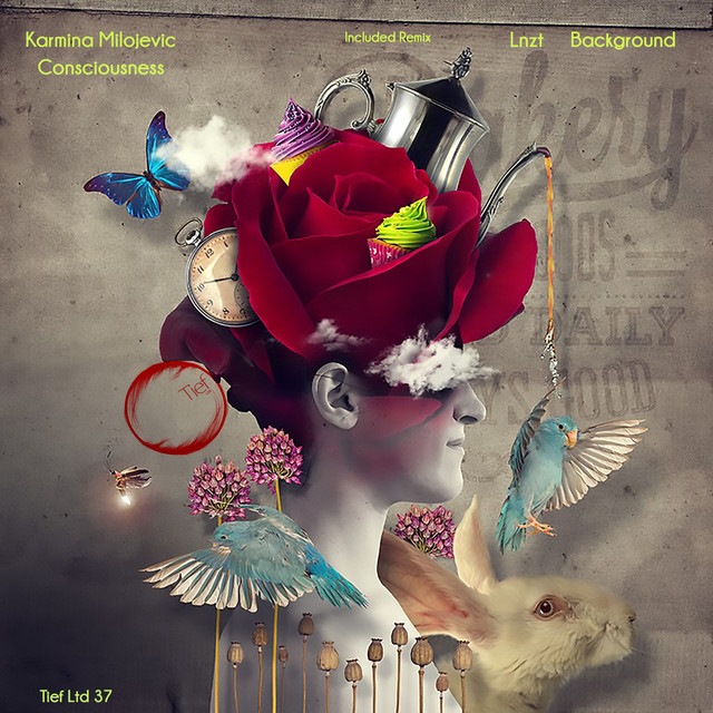 Upside Down cover art