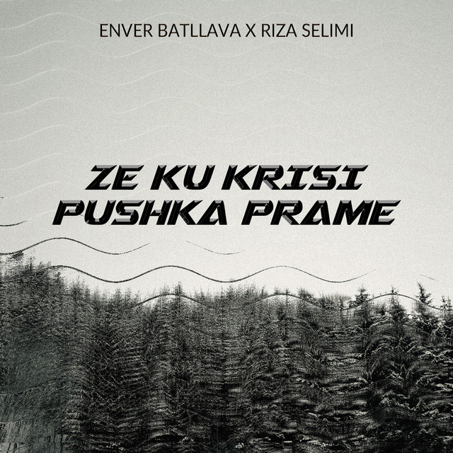 Ze ku krisi pushka prame