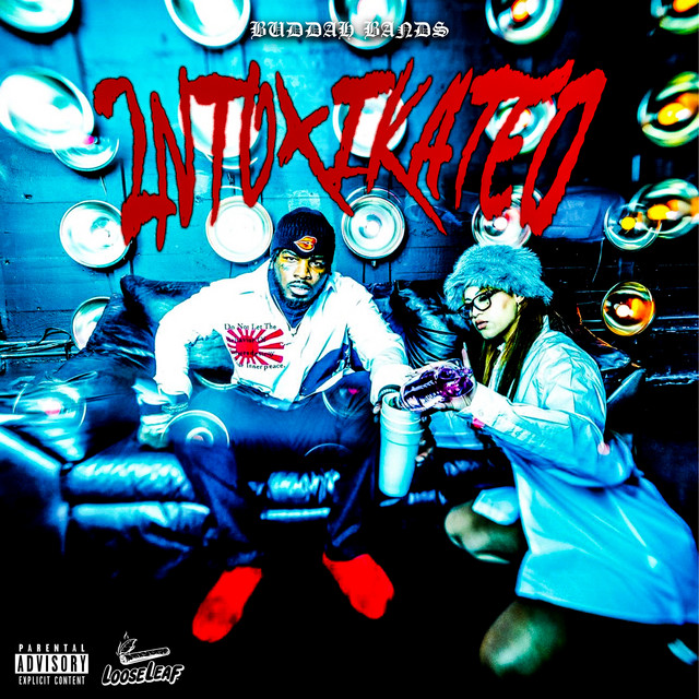 2NTOXIKATED cover art