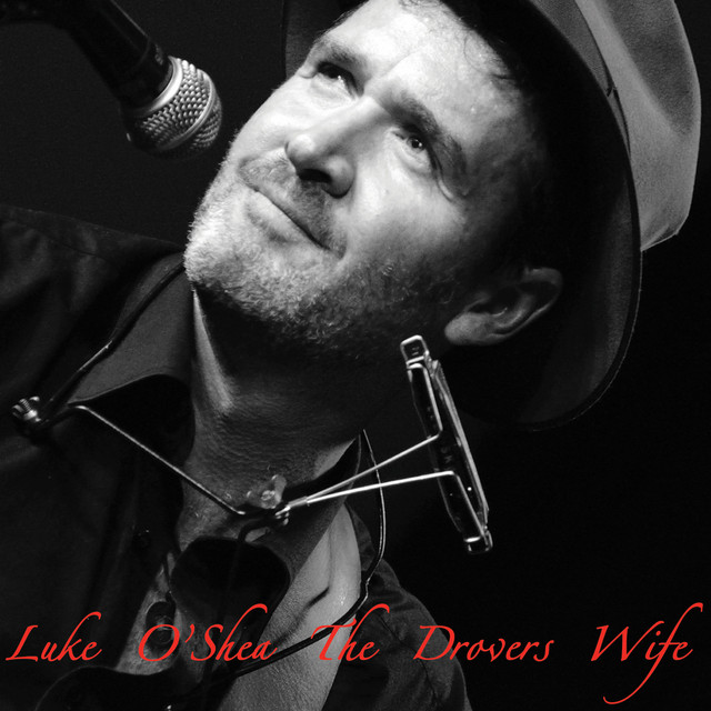The Drovers Wife