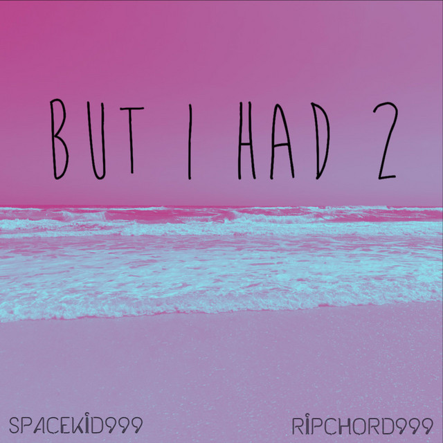 BUT I HAD 2