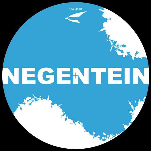Negentein album image