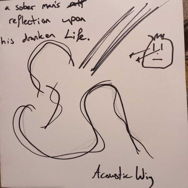 sober man's reflection upon his drunken life album image