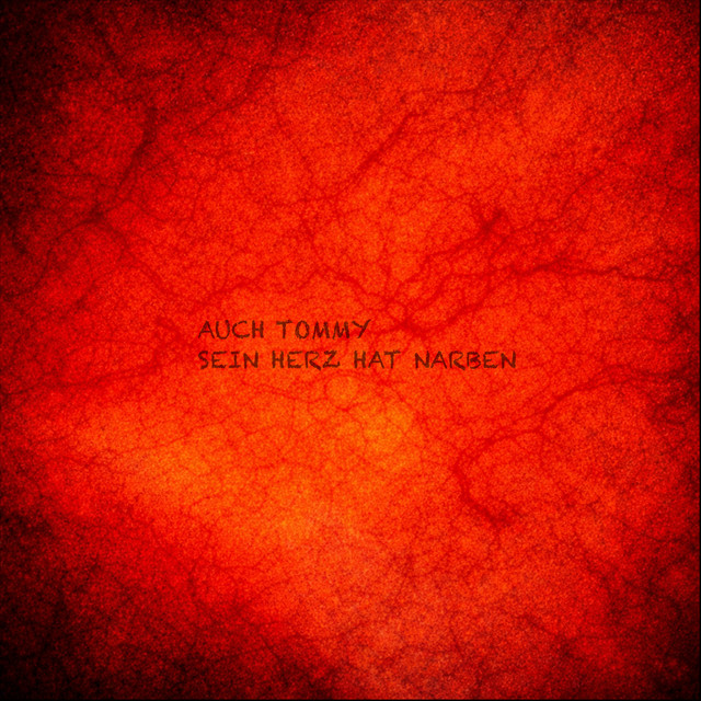 Auch Tommy sein Herz hat Narben cover art