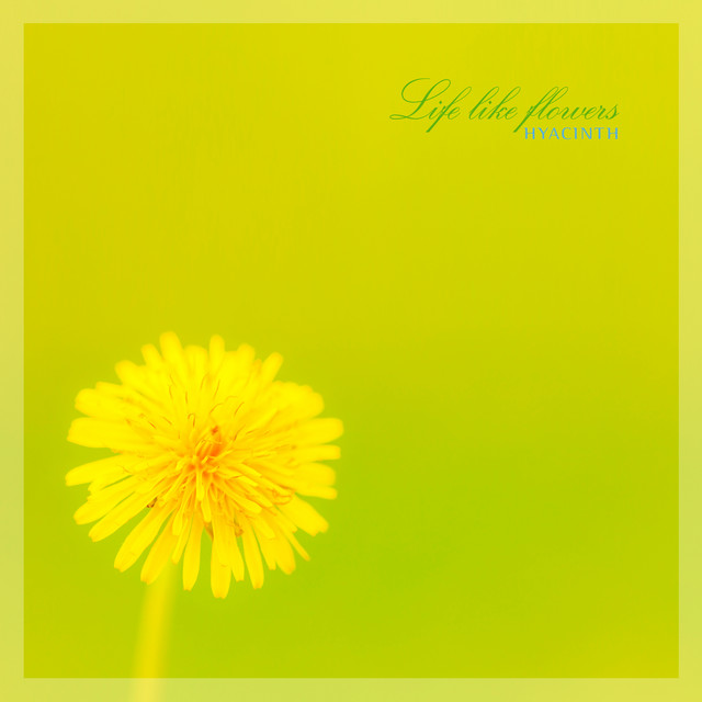 Life Like Flowers cover