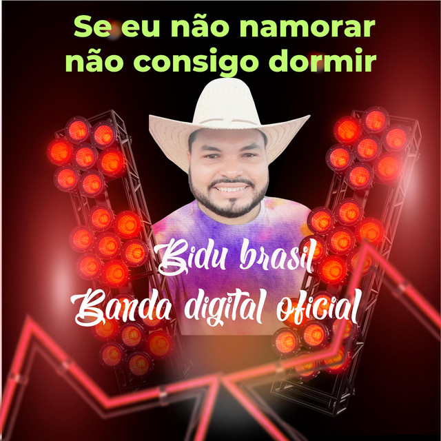 Bidu brasil banda digital oficial