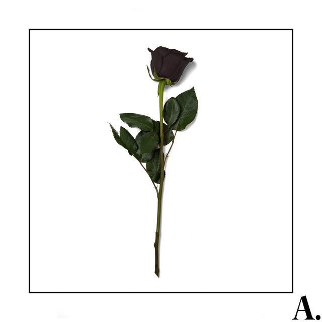 Cold cover art