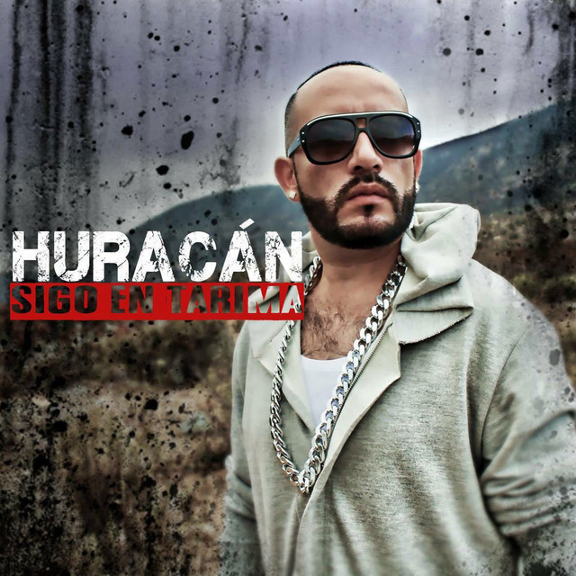 Sigo en Tarima cover art