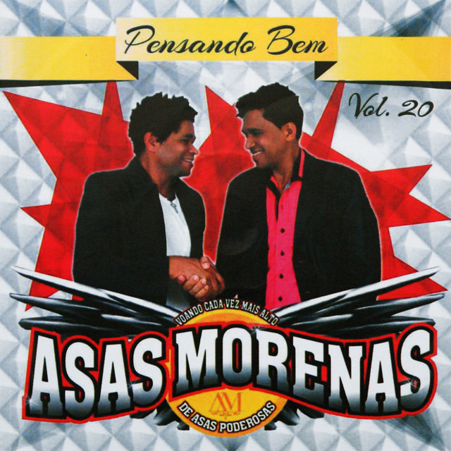 Voando Cada Vez Mais Alto de Asas Poderosas, Vol. 20 (Pensando Bem) cover art