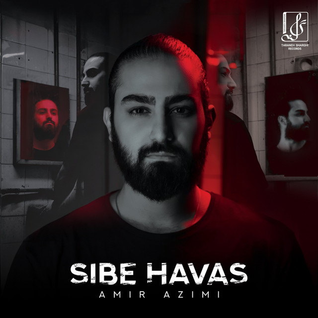 Sibe Havas cover art