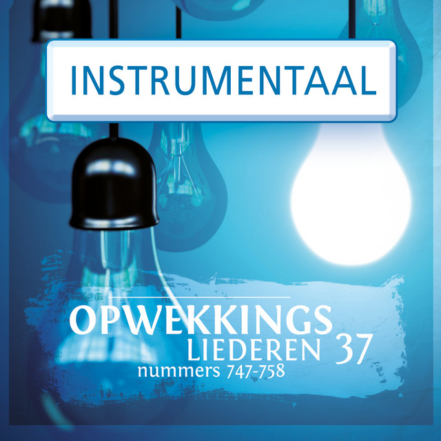 Opwekkingsliederen 37 (Instrumentaal) cover art