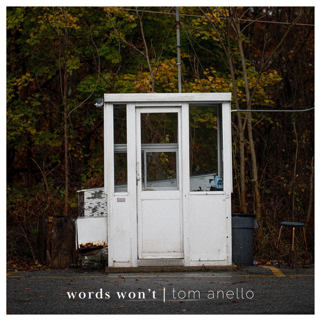 Words Won't - Album by Tom Anello | Spotify