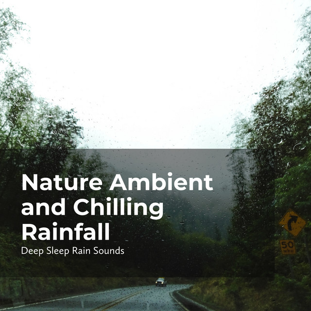 Nature Ambient and Chilling Rainfall - Album by Deep Sleep Rain Sounds ...