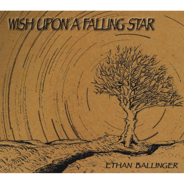 Wish Upon A Falling Star cover art