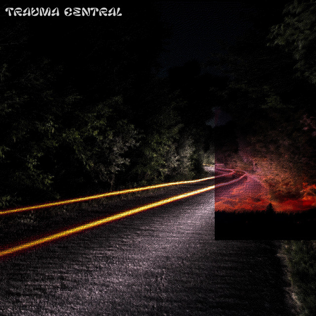 Обкладинка trauma central — forest dive