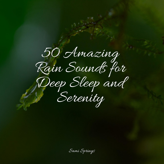 50 Deep Sleep Rain Sounds - Album by PowerThoughts Meditation Club ...