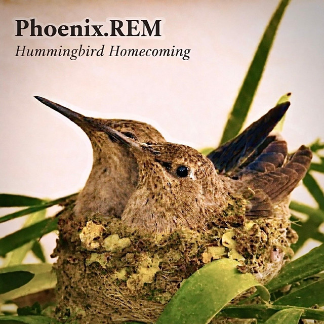 Phoenix.REM - Little Hummingbird