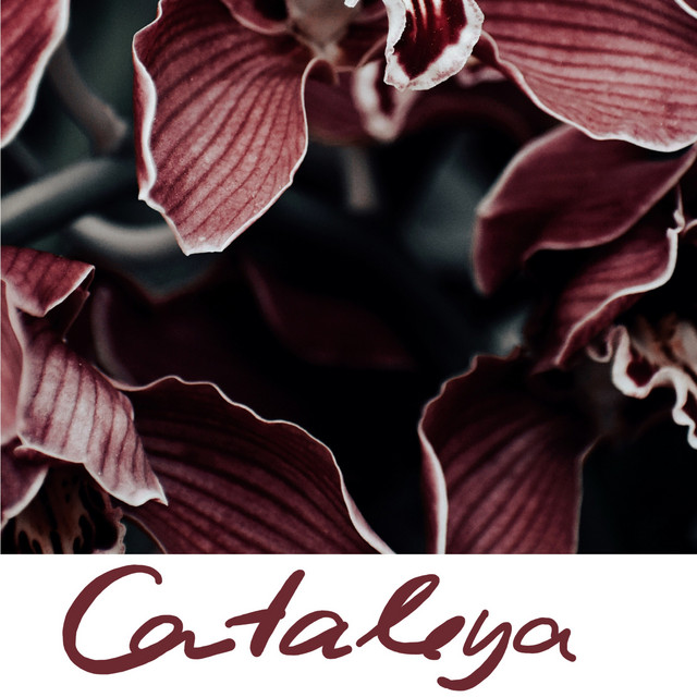 Cataleya cover art
