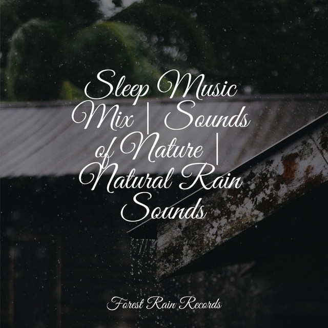 Sleep Music Mix | Sounds of Nature | Natural Rain Sounds - Album by ...