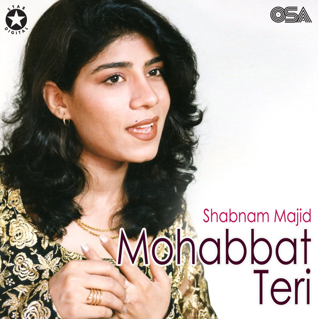 Mein Te Mera Dilbar Jani cover art
