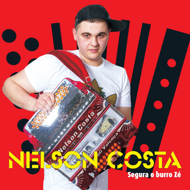 Segura o Burro Zé cover art