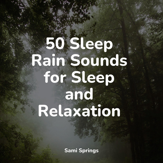 50 Sleep Rain Sounds for Sleep and Relaxation - Album by Sleep ...