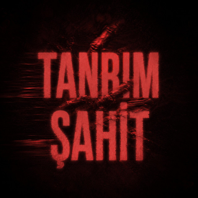 TANRIM ŞAHİT cover art