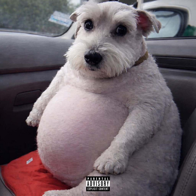 WASSUP