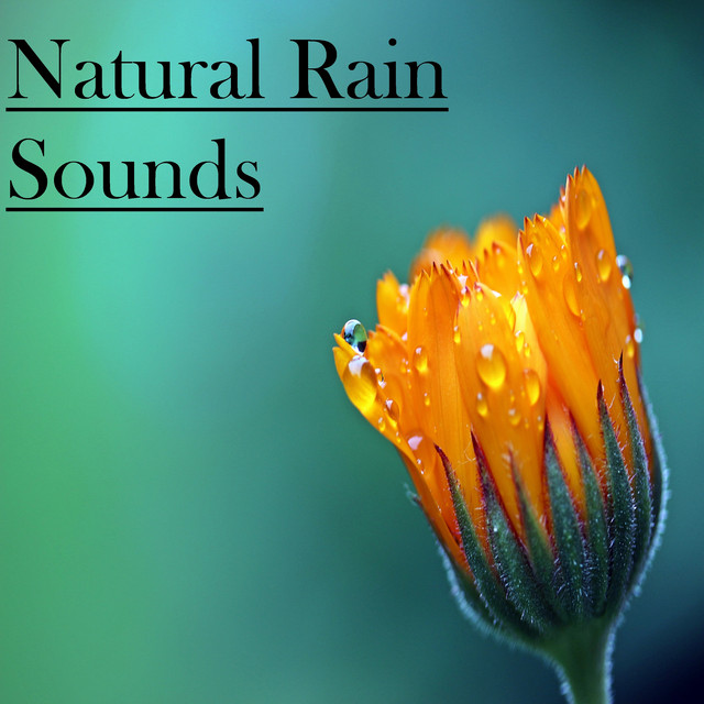 19 Natural Rain Sounds - Sleep, Meditation & Yoga cover art