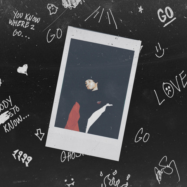 Go cover art