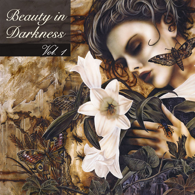 その他 Beauty in Darkness 6 [DVD] Dvd Beauty In Darkness Vol.6 ( Lacrado) | MercadoLivre
