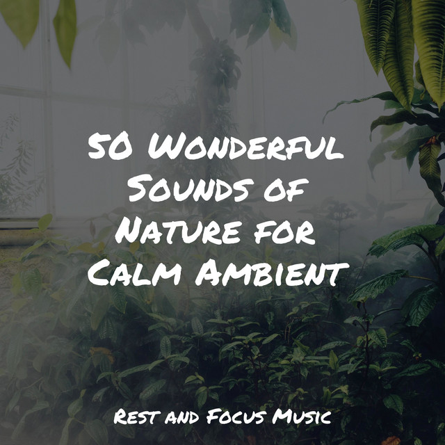 50 Wonderful Sounds of Nature for Calm Ambient - Album by Yoga | Spotify