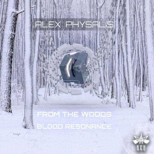 From The Woods artwork