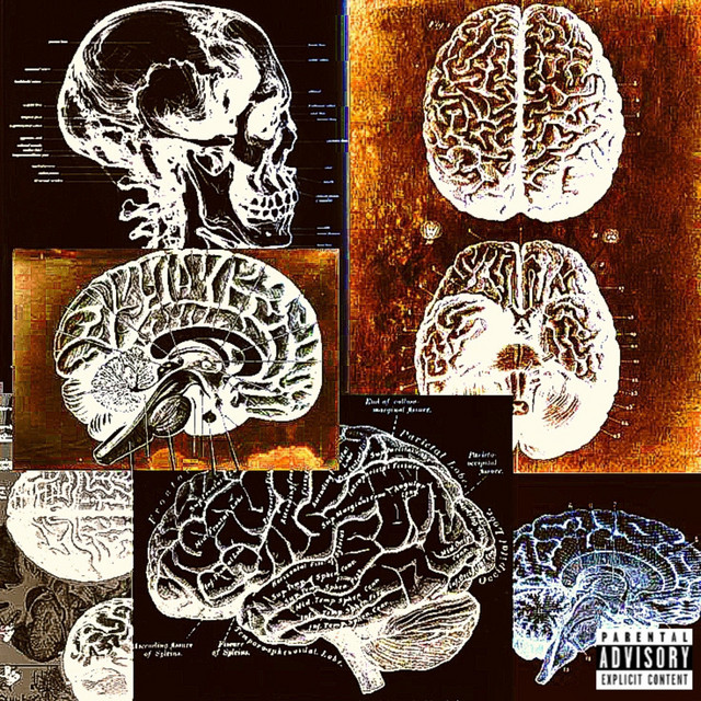 S.O.M.A. cover art