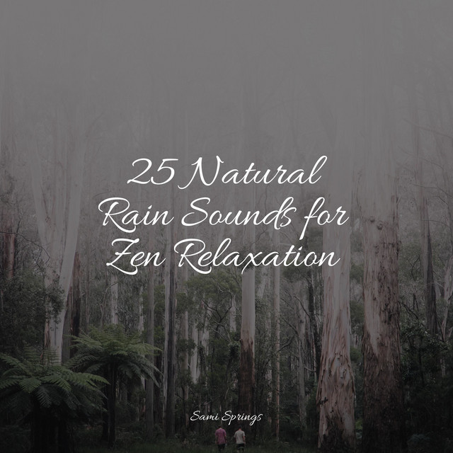 25 Natural Rain Sounds for Zen Relaxation - Album by Sleep Rain | Spotify