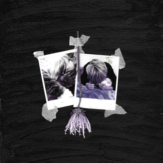 Faulty cover art