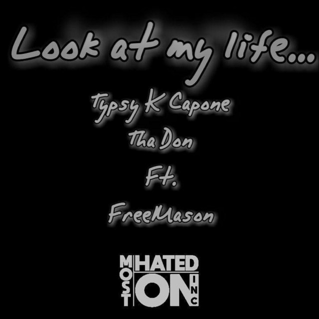 Look at My Life... (feat. Freemason) cover